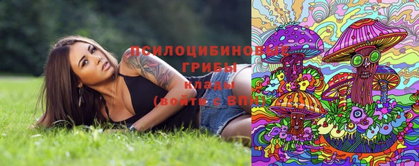 бутират Алексеевка
