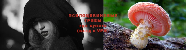 прущие крисы Алзамай