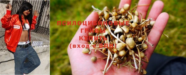 бутират Алексеевка