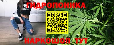 дживик Тверь
